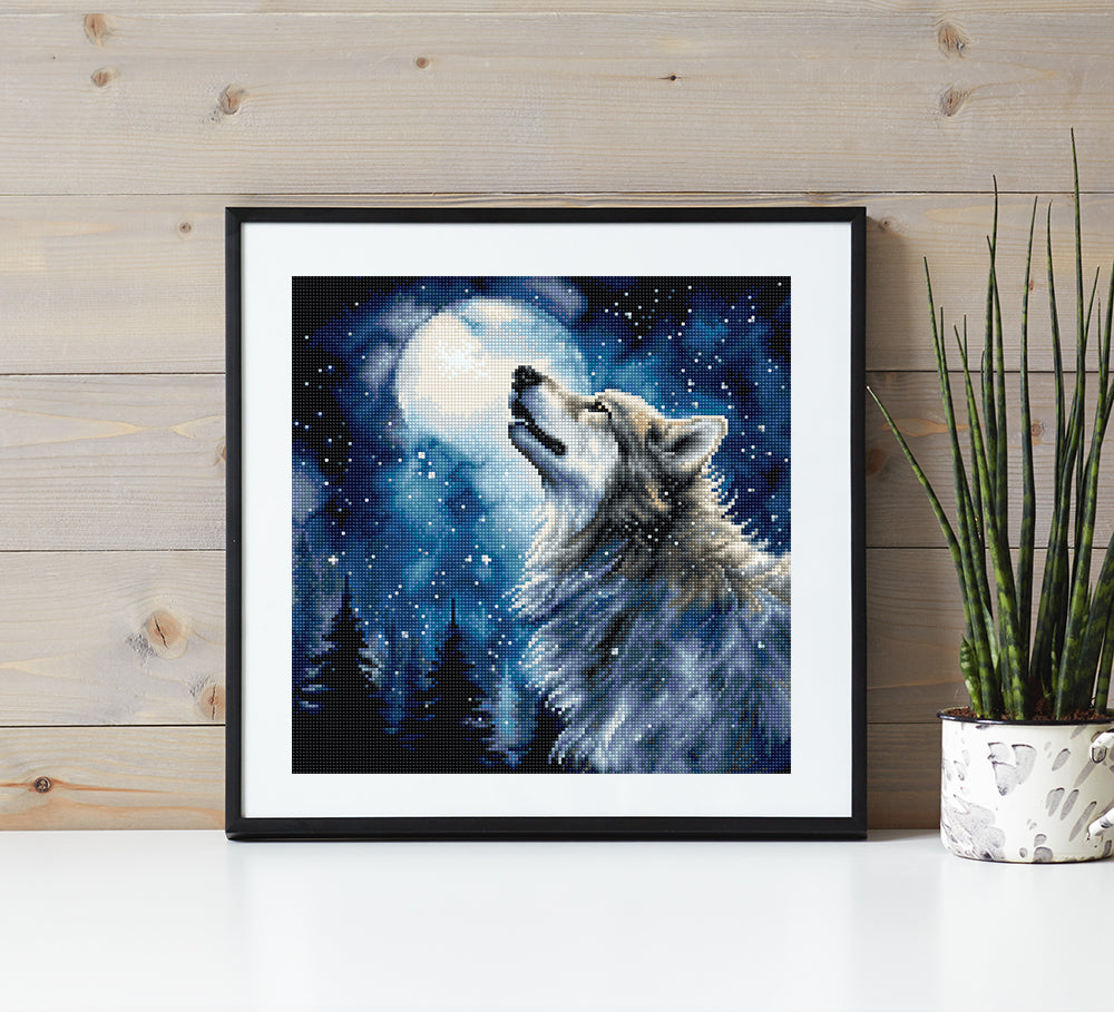 L9923 Midnight snowfall