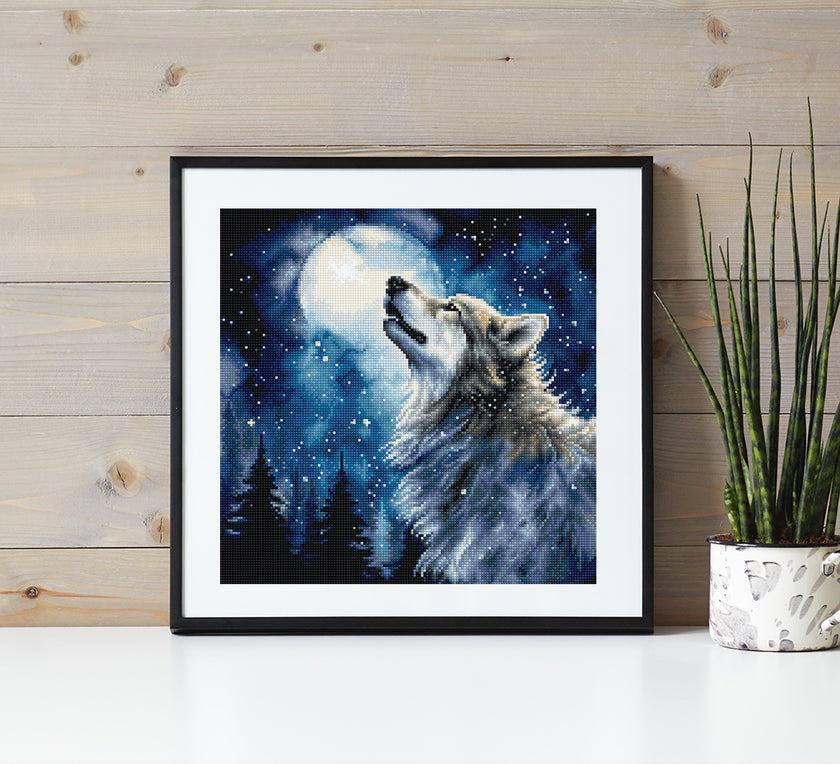 L9923 Midnight snowfall