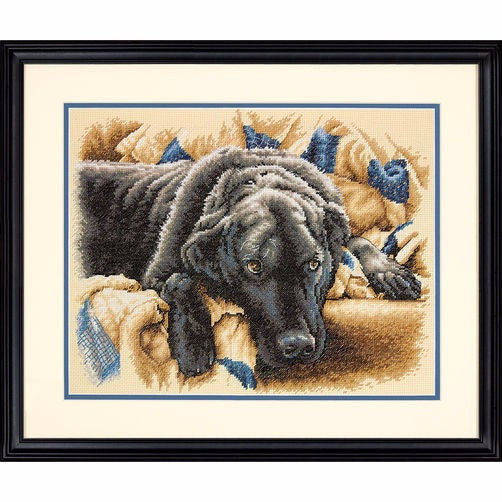 Guilty Pleasures D70-35321