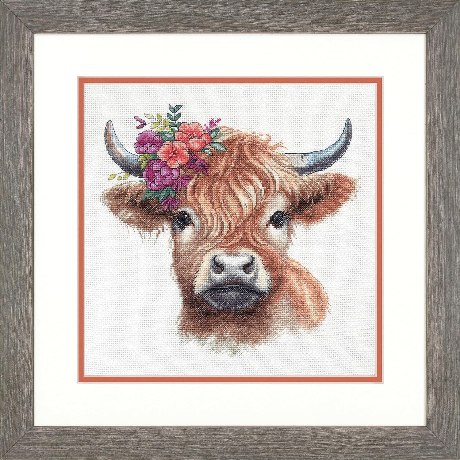 Highland Cow D70-35449