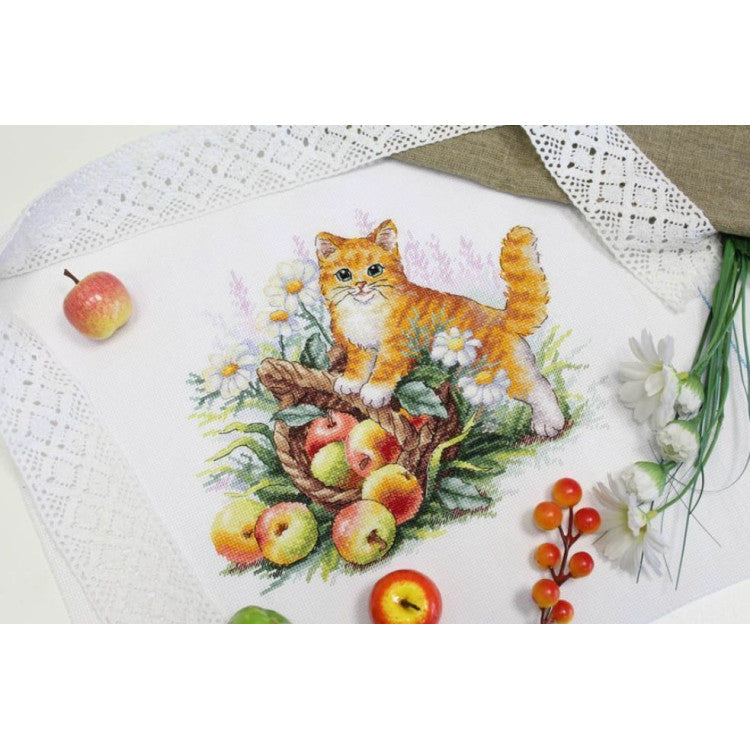 Cross stitch kit