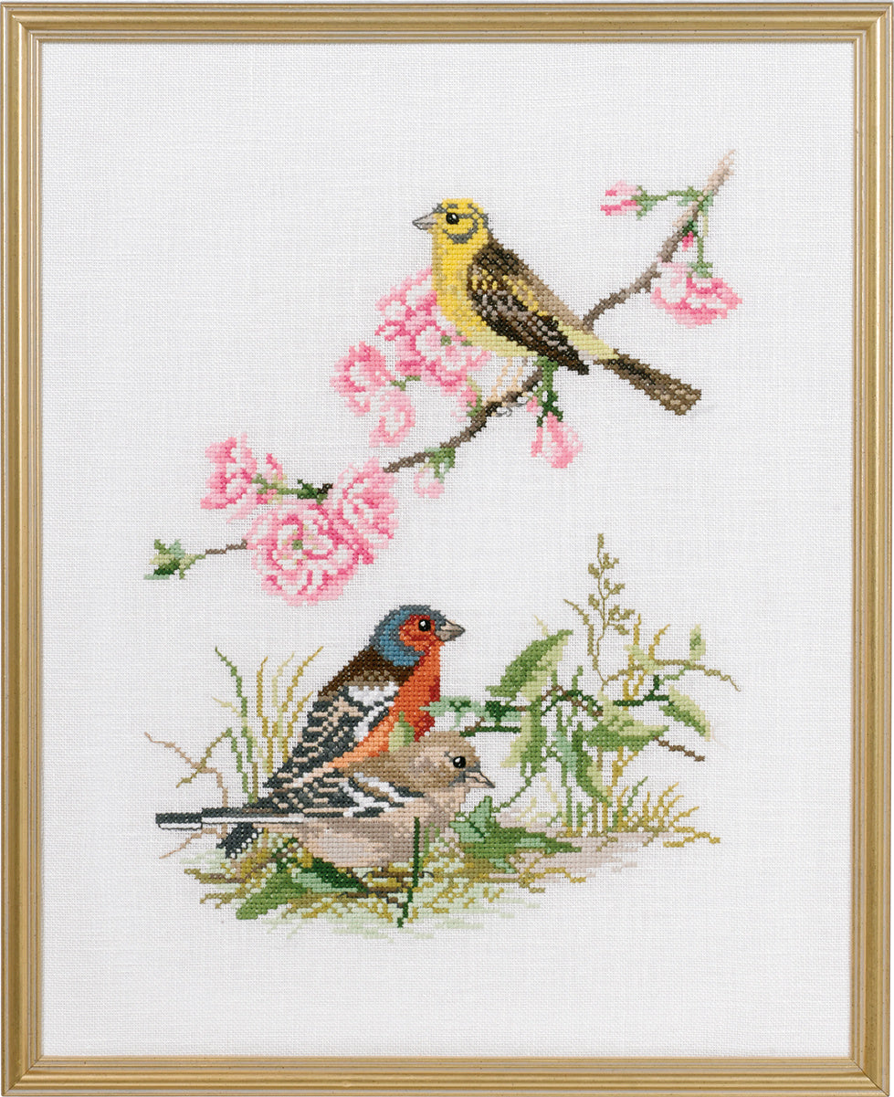Birds(12-735)
