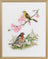 Birds(12-735)