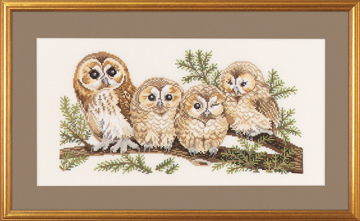 4 owls(14-146)