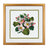 Appleflowers (14-168)