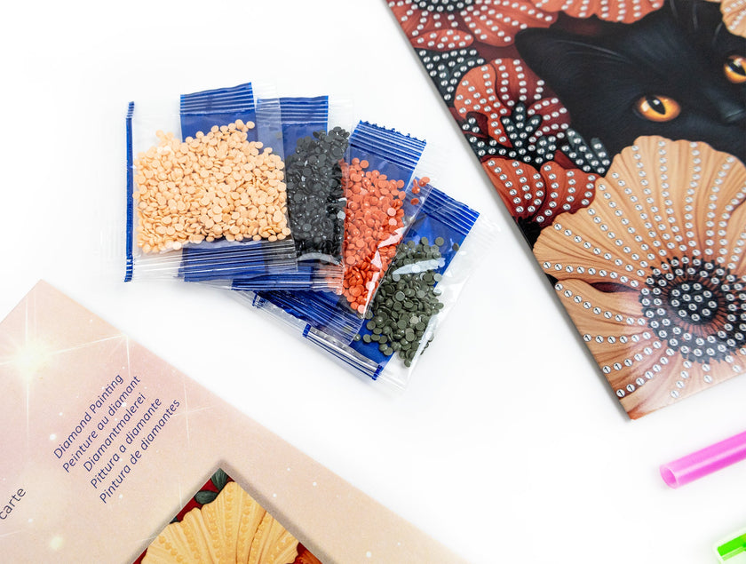 Cat-themed card kit with colorful drills and a decorative cat design.