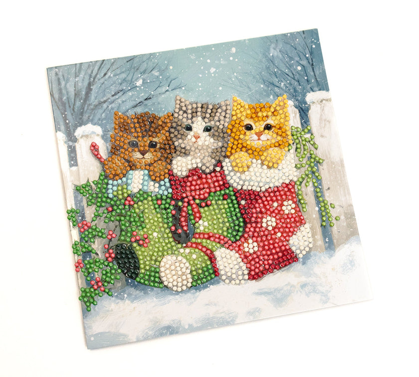 481-548 Snowy Kitties