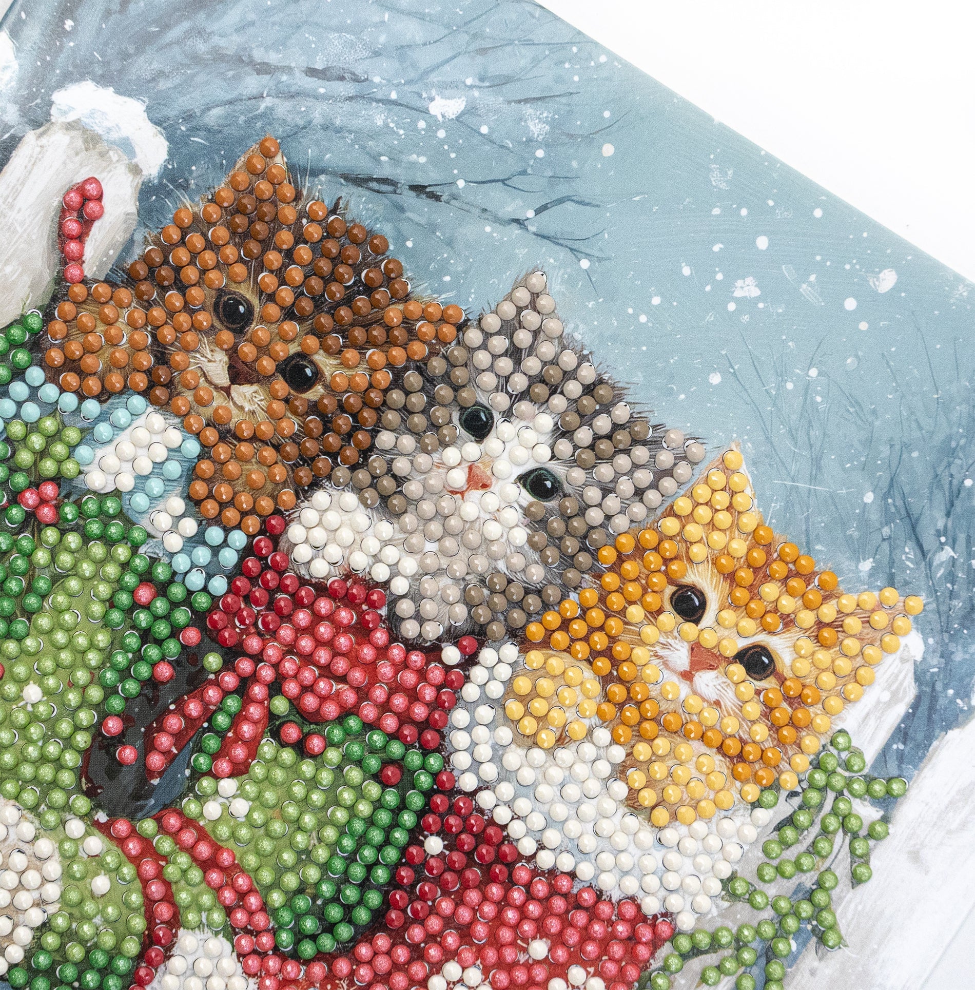 481-548 Snowy Kitties