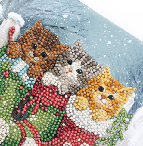 481-548 Snowy Kitties