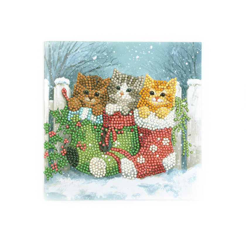 481-548 Snowy Kitties