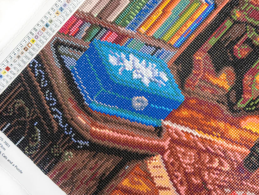 LDS 7003 Books, Cats and a Puzzle