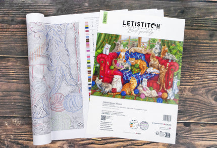 Letistitch embroidery kit with pattern book and fabric on a wooden surface