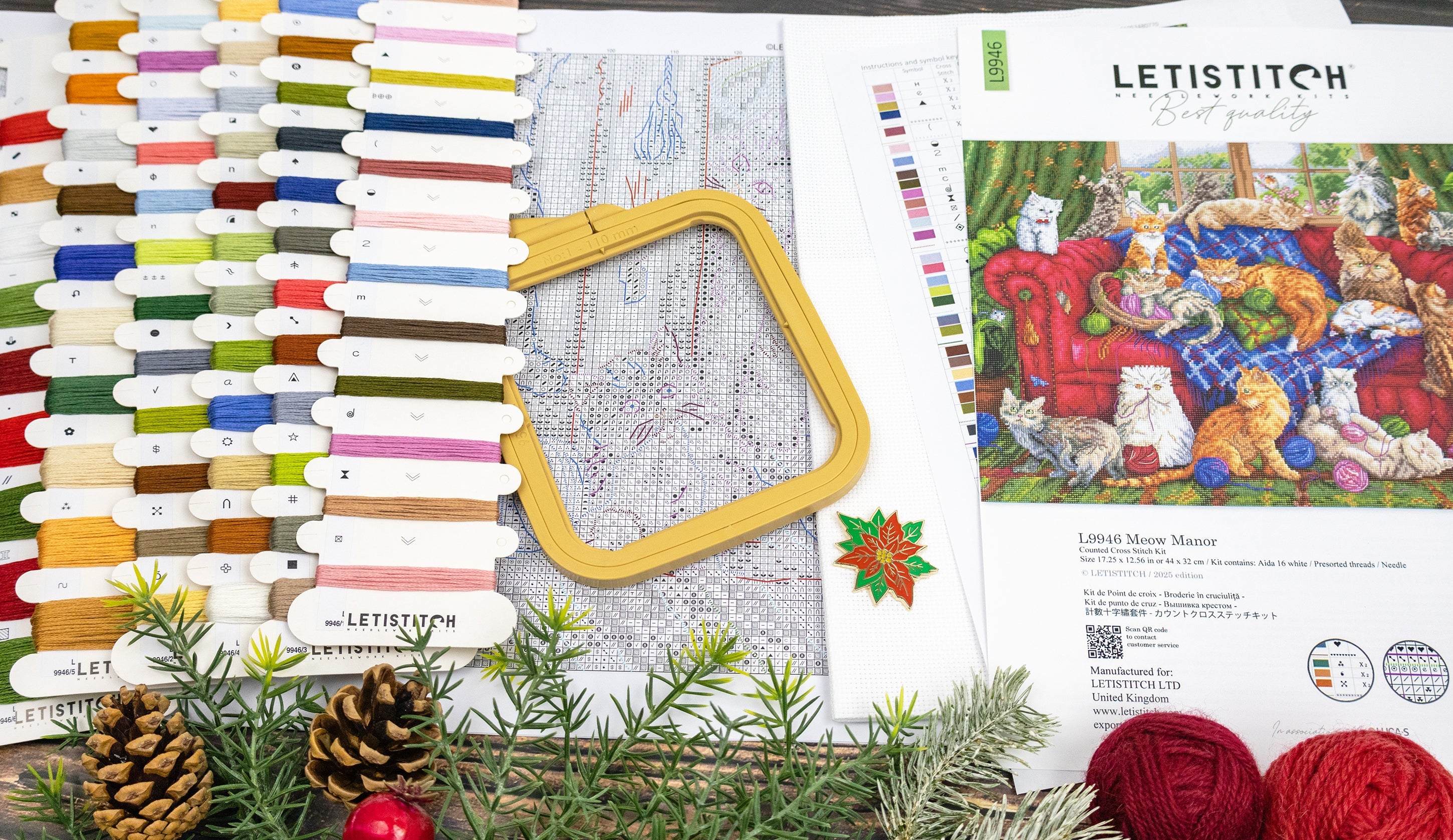 Cross-stitch kit with threads, hoop, and pattern guide on a table with plants.