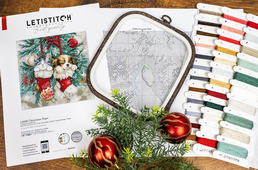 Cross-stitch kit with hoop, thread, and pattern sheet on a wooden surface.