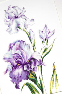 Cross Stitch Kit Luca-S - Irises, B2251