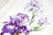Cross Stitch Kit Luca-S - Irises, B2251