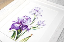 Cross Stitch Kit Luca-S - Irises, B2251