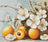 Apricot blossom, B7062-Cross Stitch Kit Luca-S