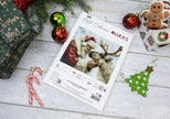 Lucas Cross Stitch kit for 'Santa and Reindeer' on a wooden surface with Christmas decorations.