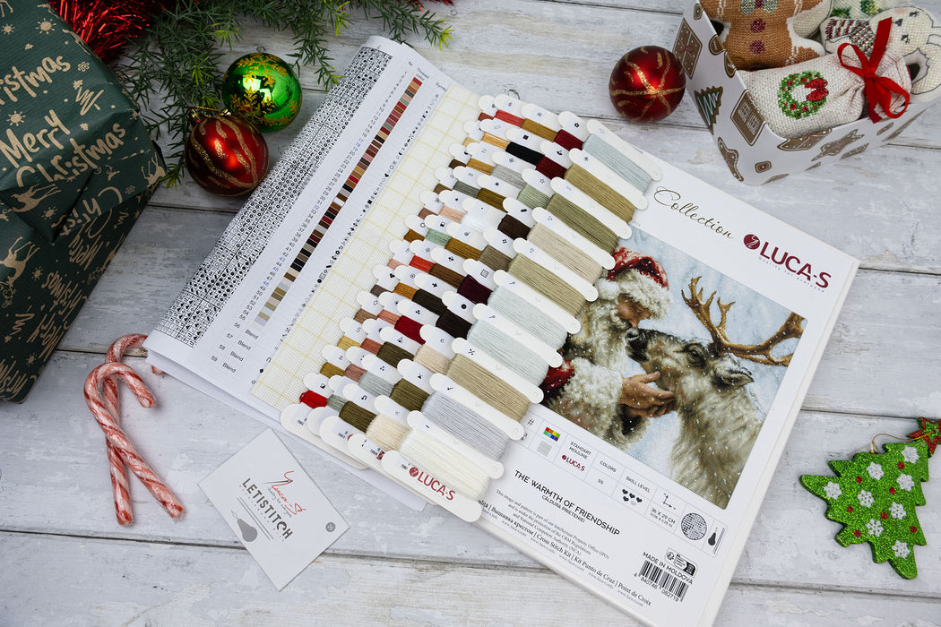 Lucas color swatch book with Christmas-themed decorations on a wooden surface