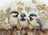 Cross Stitch Kit Luca-S - Chickadees On The Fence , (BU5066)