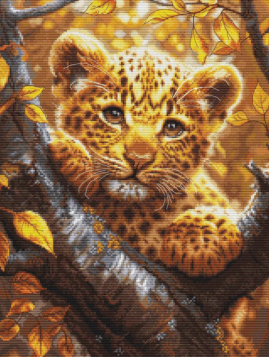 Leopard cub in a tree surrounded by autumn leaves