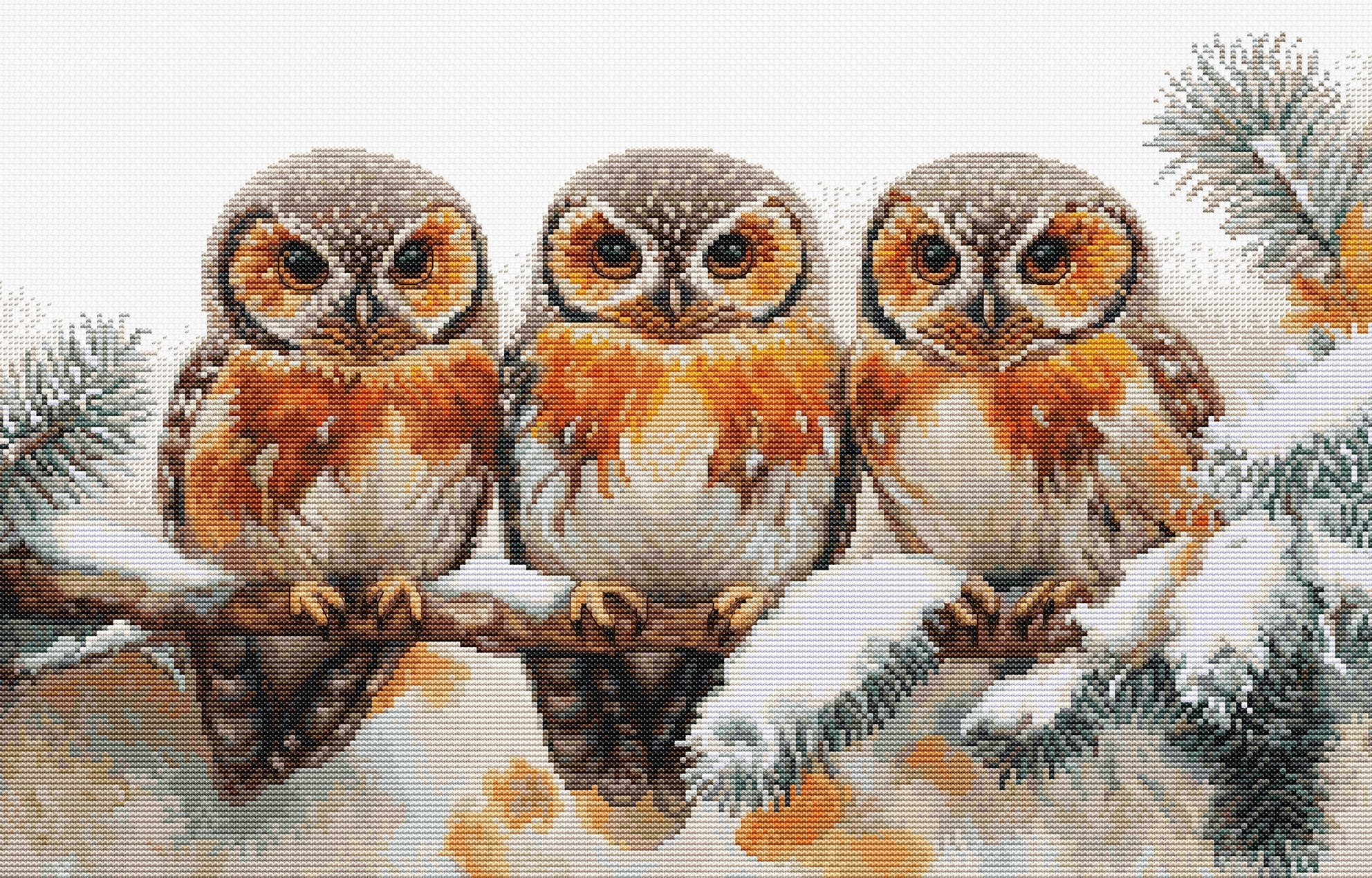Three owls on a branch with snow and pine branches in the background