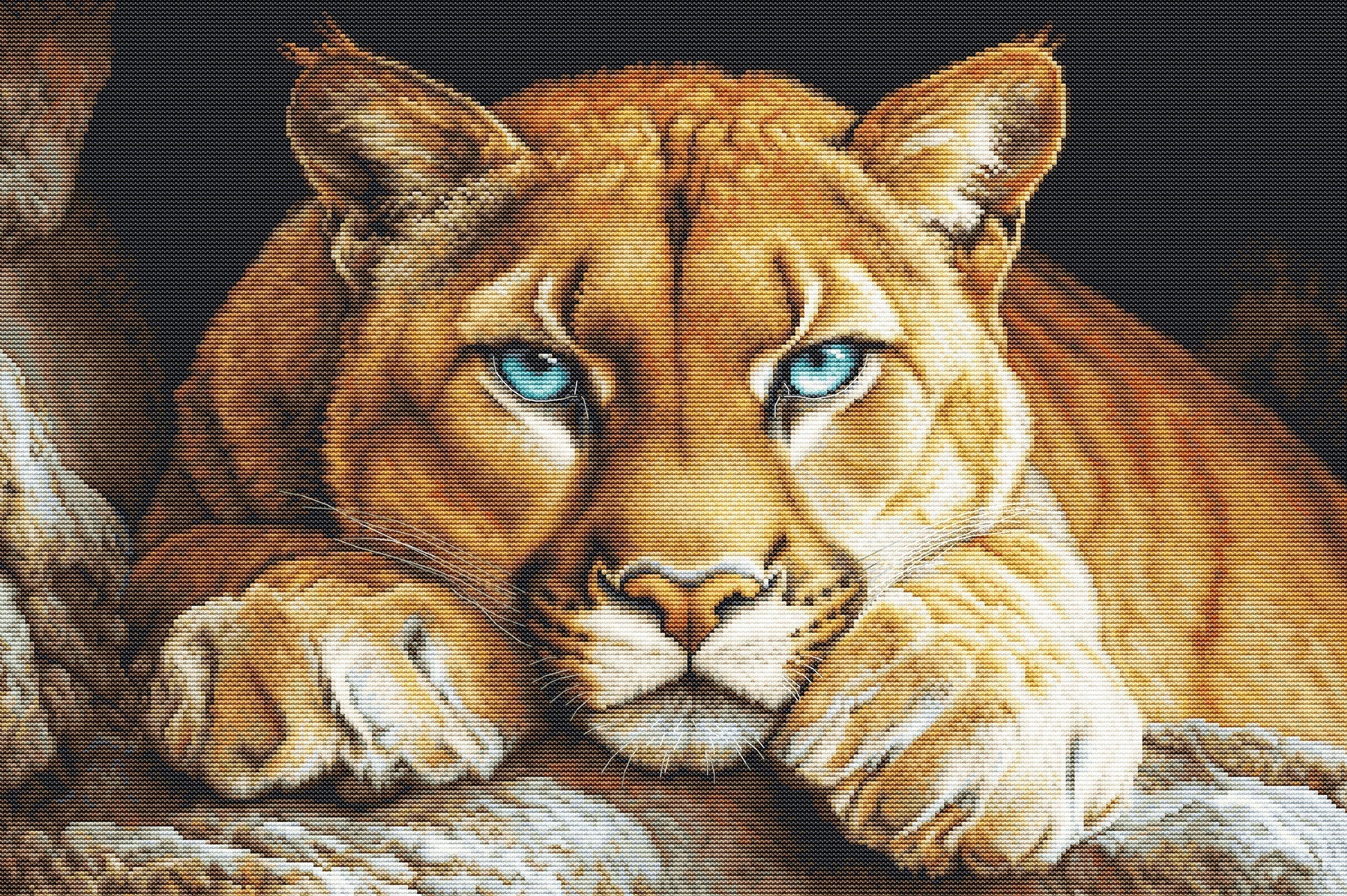 Close-up of a lioness with blue eyes on a dark background