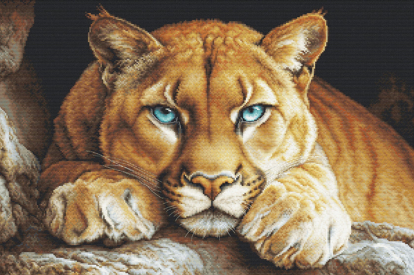 Cross Stitch Kit Luca-S GOLD - The Wild Spirit, BU5081