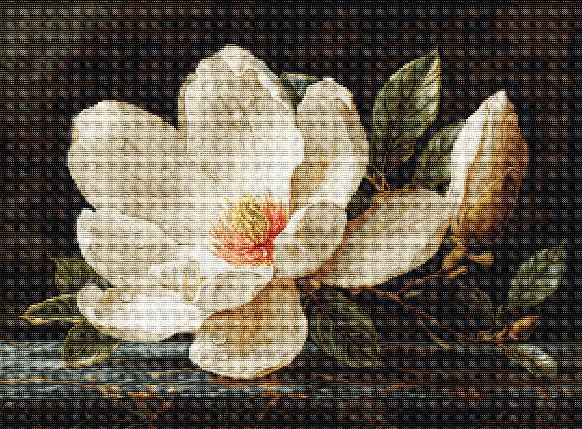 White flower with green leaves on a dark background