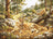 Petit Point Kit Luca-S Gold - Maternal Love, G734