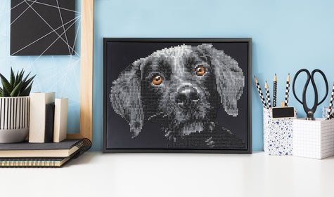 Diamond Painting Kit: Pepper