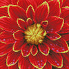 Diamond Painting Kit: Dahlia