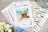 G735 Petit Point Kit Luca-S - Azure Beach
