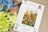 Cross Stitch Kit Luca-S - Queen of the Desert, BU5115