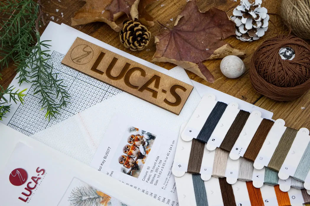 Color swatches and material samples on a wooden surface with 'LUCAS' branding.