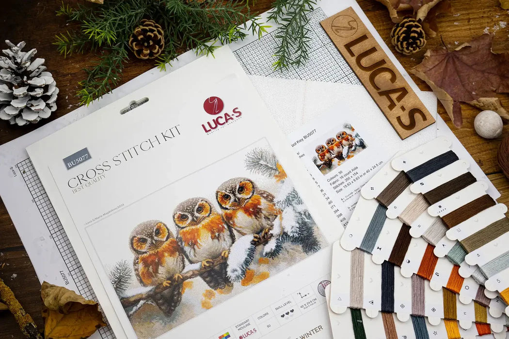 Lucas cross-stitch kit with owl design, color swatch, and Christmas decorations.