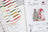 Cross Stitch Kit Luca-S - Christmas Joy, (B1439)