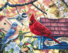 L8062 Springtime Songbirds / Oiseaux chanteurs du printemps