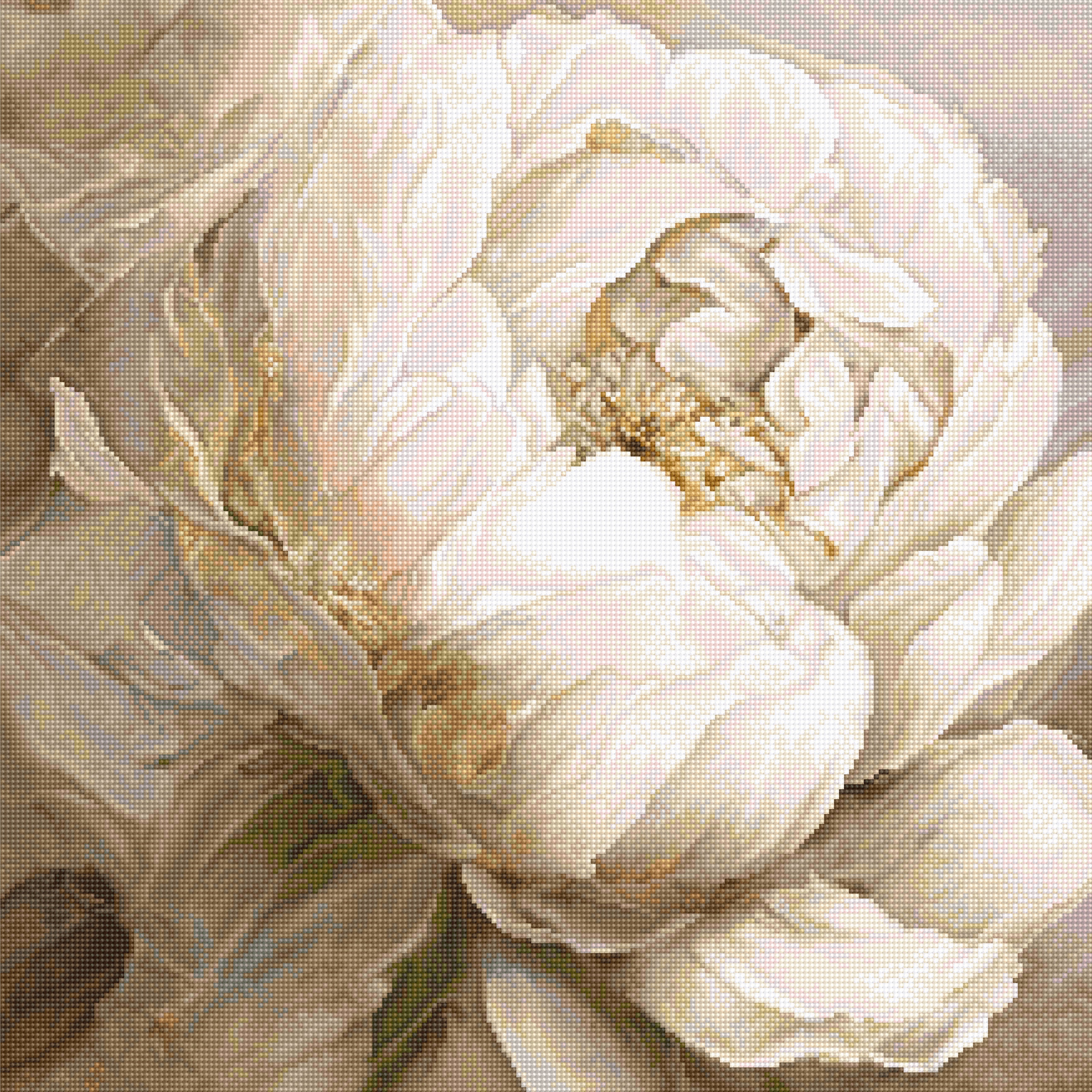 L8083 Peony Poses