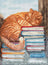 L8095 Afternoon nap / Sieste
