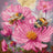 L9933 Honey Blooms