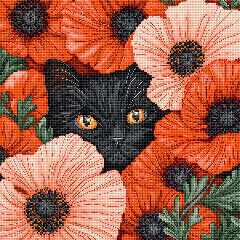 Black cat surrounded by red and pink flowers with green leaves