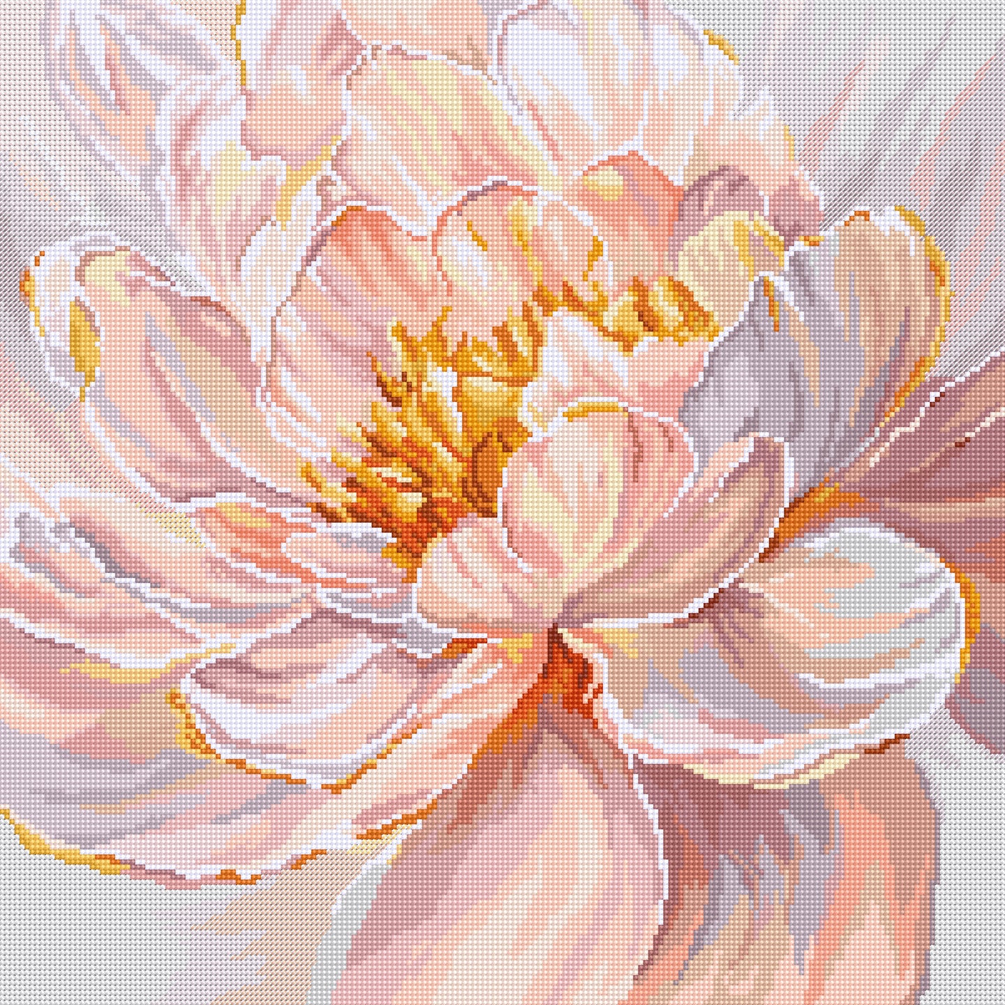 Close-up of a pink flower with a textured background