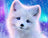 Arctic Foxy-LDS-7037