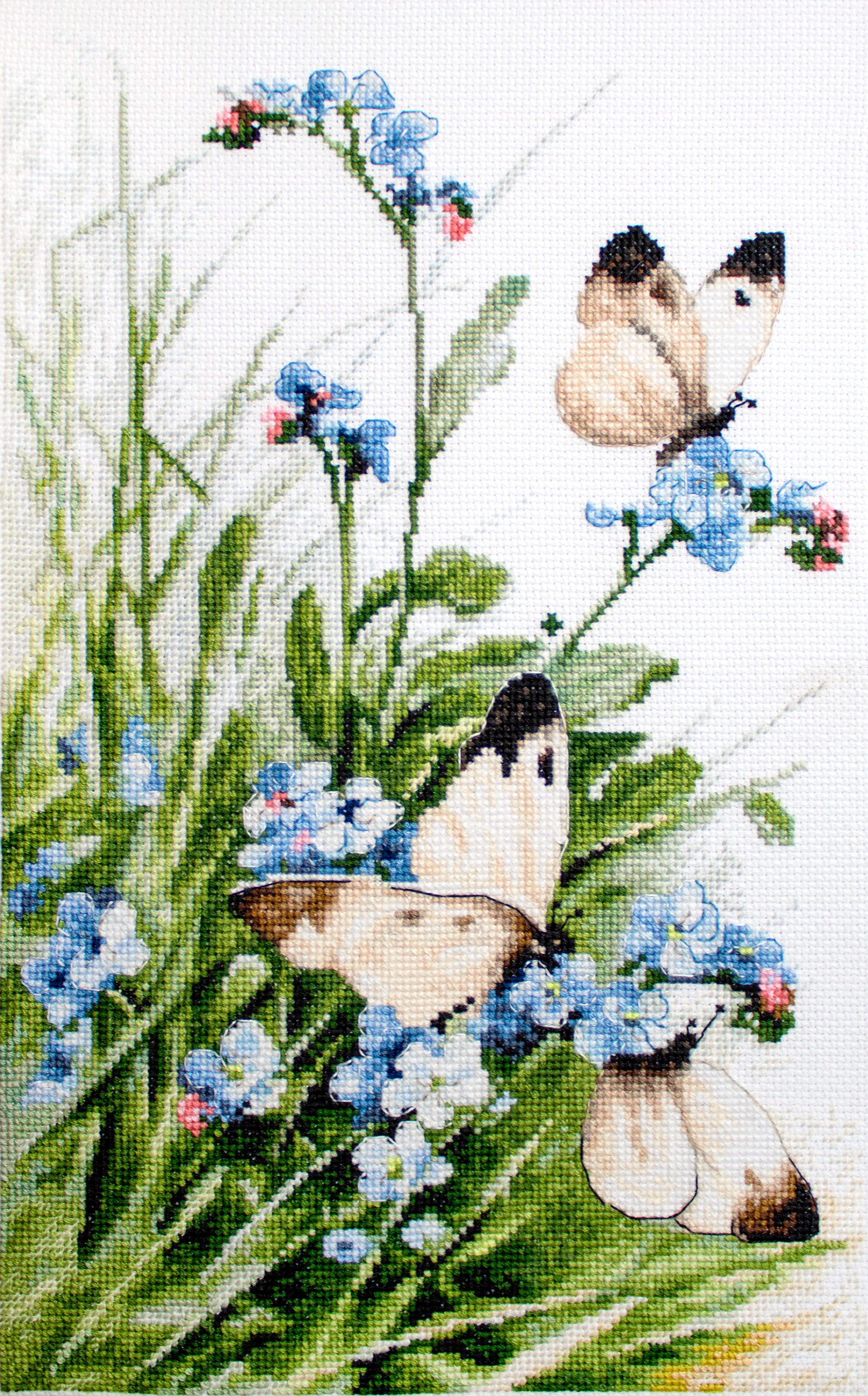 LETI 939 Butterflies and bluebird flowers