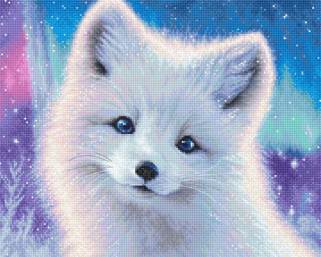 Arctic Foxy LI 65-00