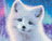 Arctic Foxy LI 65-00