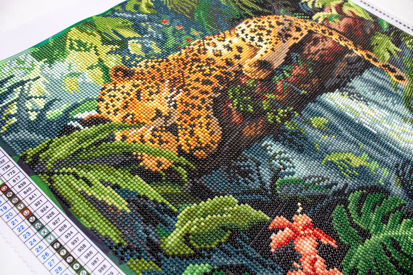 LT02  Leopard on a Branch