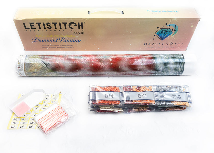 Diamond painting kit with roll of mesh, color chart, and packaging on a white background